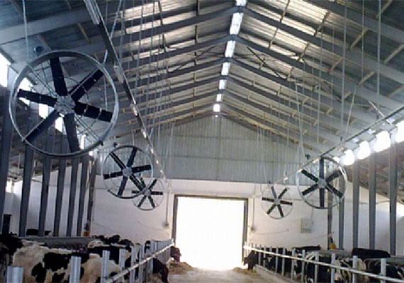 ÇİFTLİK VE HALI KURUTMA FANLARI İMALATIMIZ BAŞLAMIŞTIR